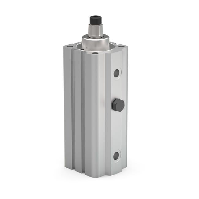 89R50-025-2 50mm Pneumatic Swing Clamp