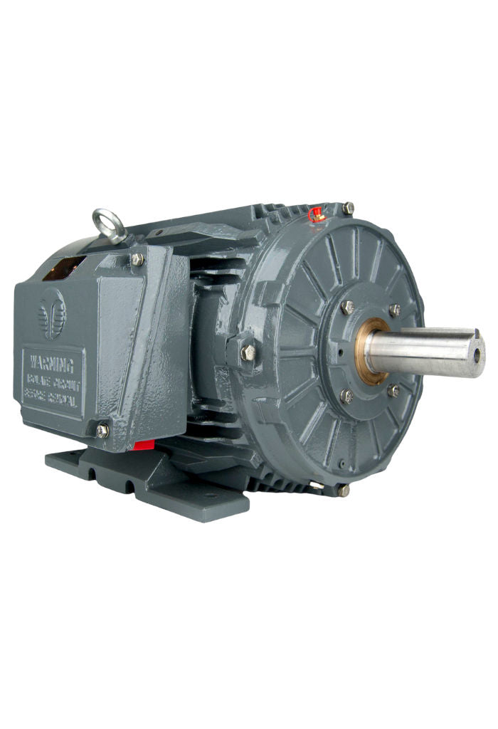 Techtop Severe Duty Motor-Piedmont Technical Sales