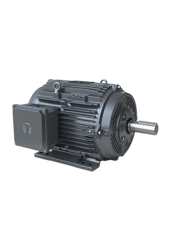 Techtop Three Phase ODP Motor-Piedmont Technical Sales