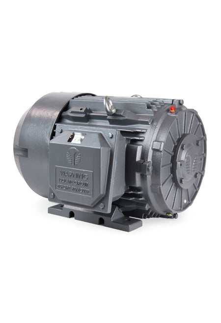 Techtop Phase Converter Motor-Piedmont Technical Sales