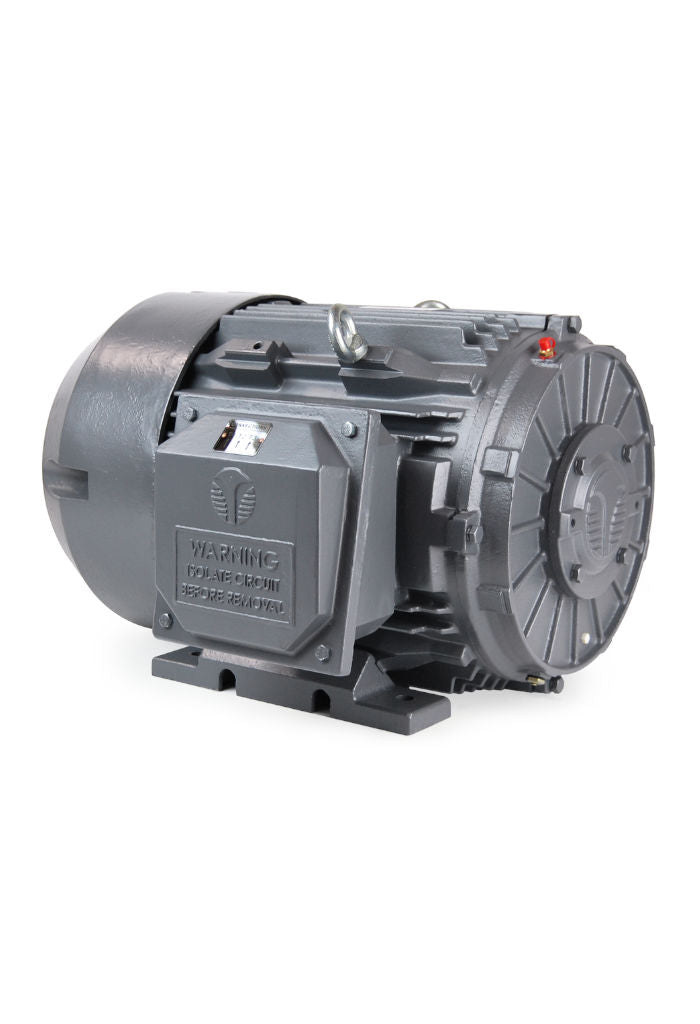 Techtop Phase Converter Motor-Piedmont Technical Sales