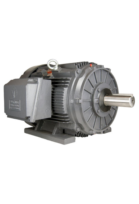 Techtop Crusher Duty Motor-Piedmont Technical Sales
