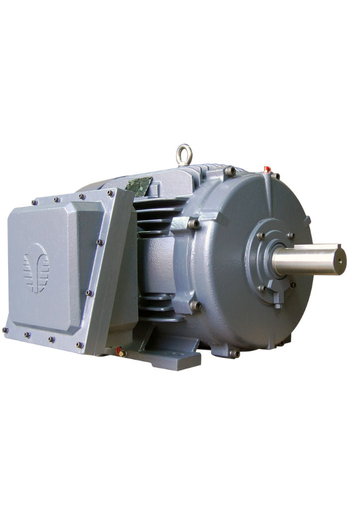 Techtop Explosion Proof Motor-Piedmont Technical Sales