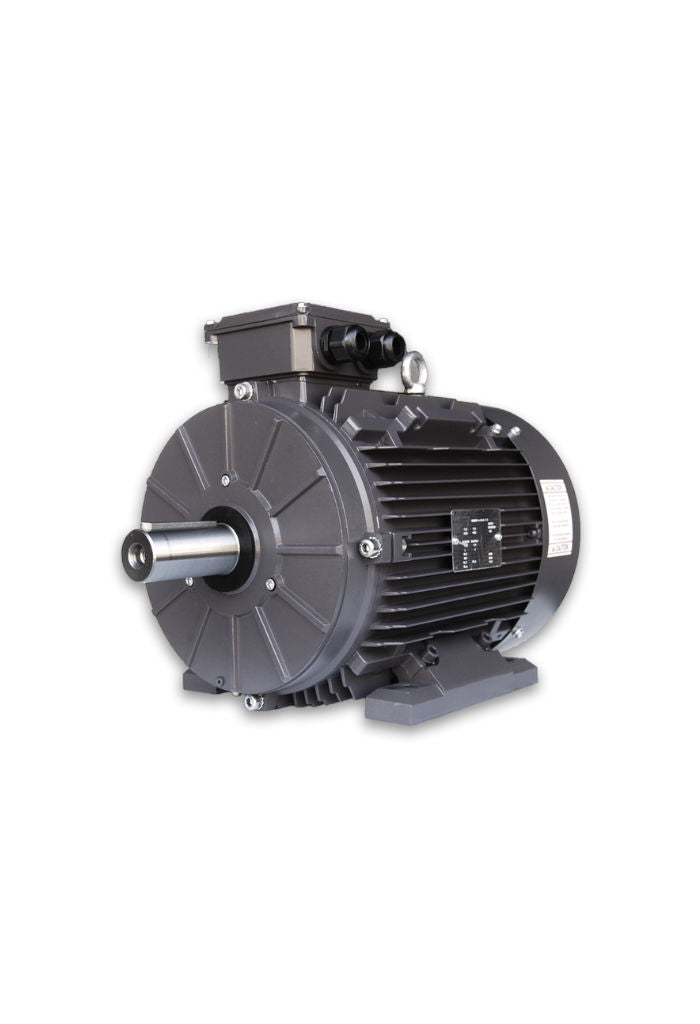 Techtop Metric IEC Three Phase Motor-Piedmont Technical Sales