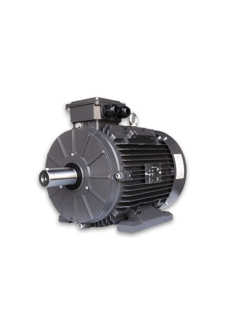 Techtop Metric IEC Three Phase Motor-Piedmont Technical Sales