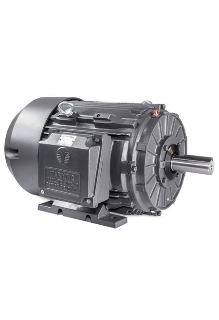 Techtop Three Phase Cast Iron Motor-Piedmont Technical Sales