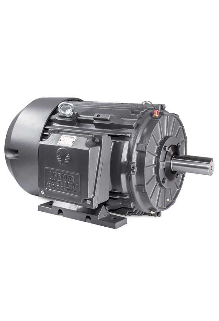 Techtop Three Phase Cast Iron Motor-Piedmont Technical Sales