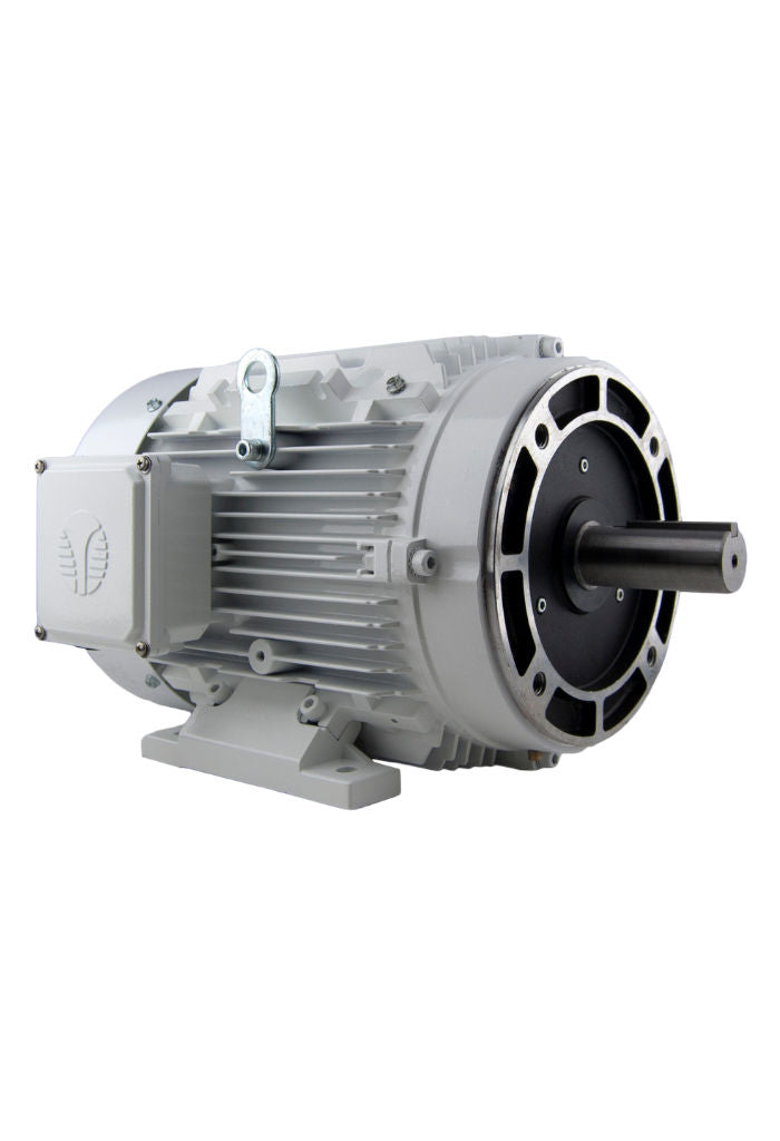 Techtop Washdown Duty Motor-Piedmont Technical Sales